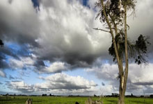 熊猫直播tv-羽球惊雷!台北天才少女戴资颖绝杀封后四强鏖战谱写热血传奇