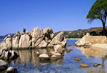 熊猫体育app-鹿岛鹿角外援训练成果显著,力拼强队