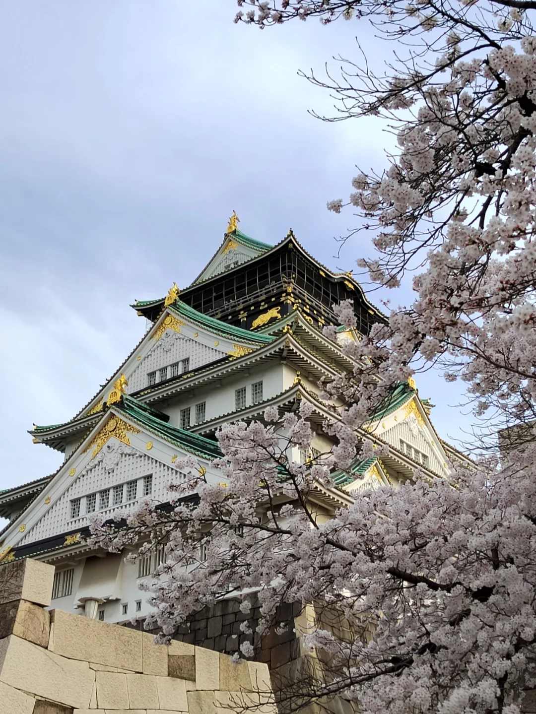 熊猫体育-关于大阪樱花全队备战有方,努力赢得胜利的信息