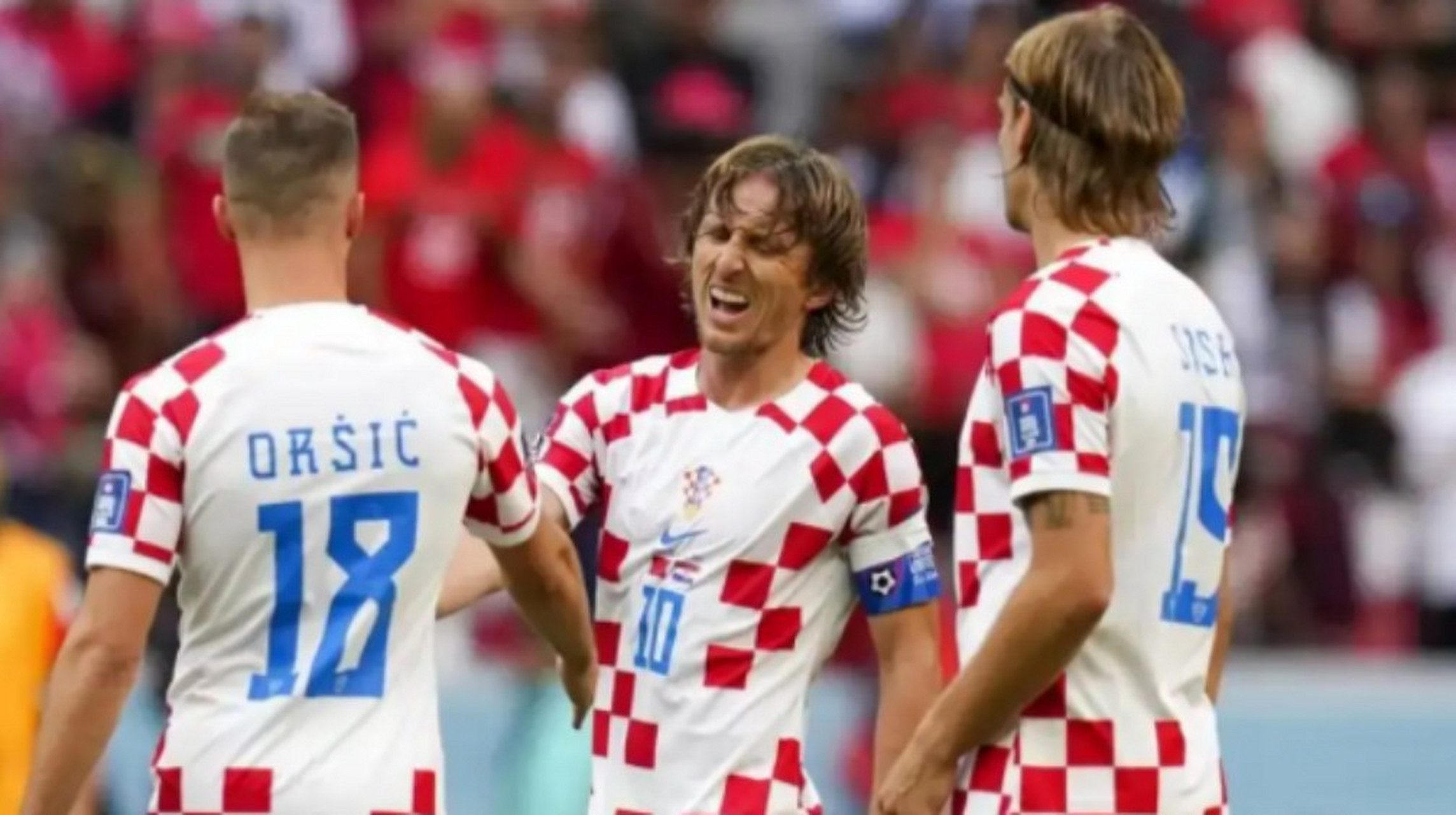 意大利国家队击败比利时,生死战晋级欧锦赛的简单介绍 意大利国家队击败比利时,生死战晋级欧锦赛的简单介绍