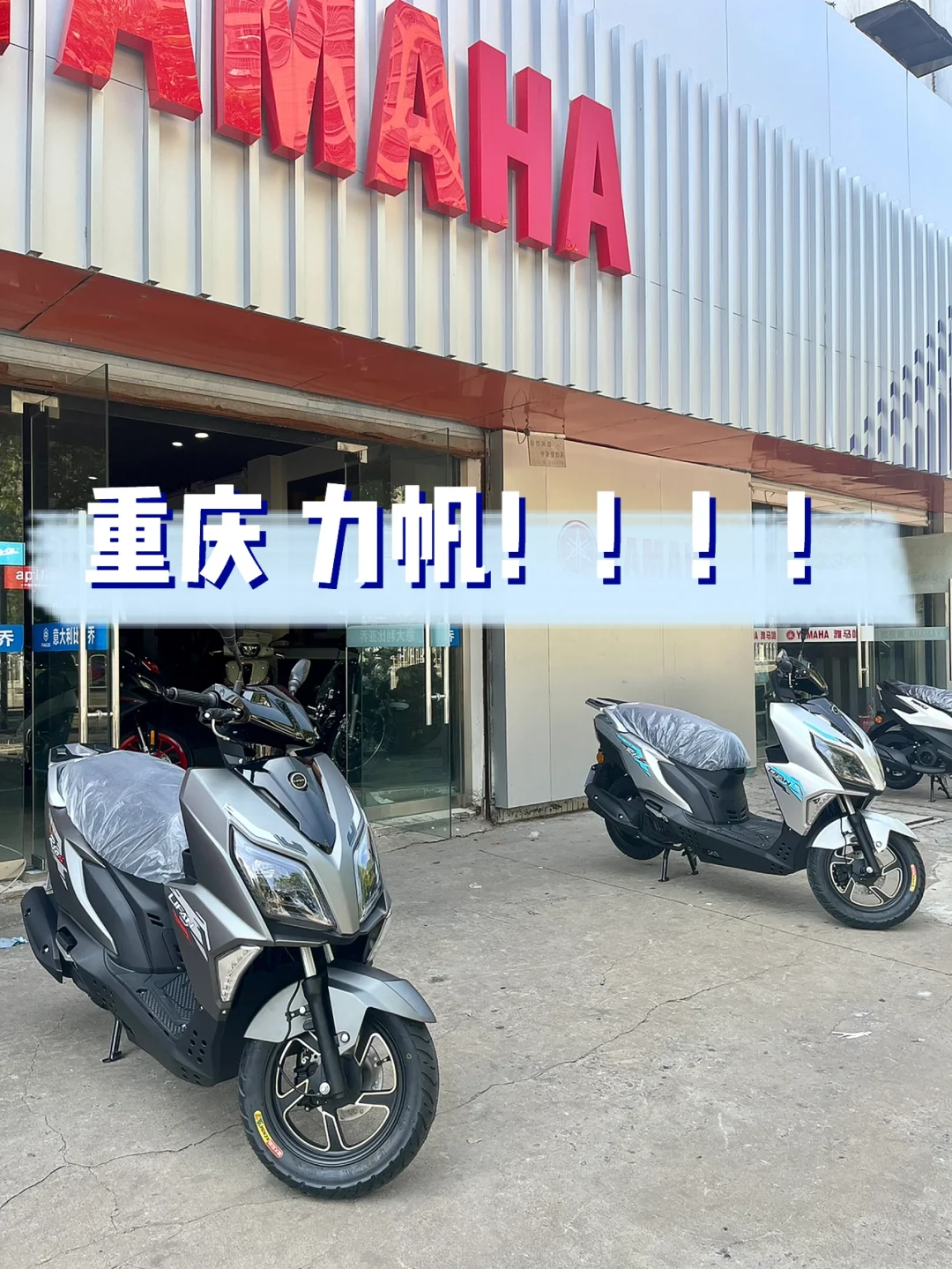 熊猫TV-惊险斗法!重庆力帆紧揪青岛黄海保回春的简单介绍