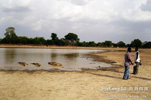 布基纳法索选手在跳水比赛中获得胜利