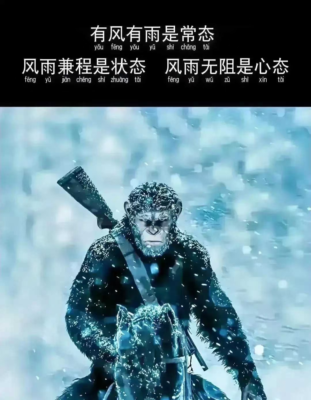 熊猫体育官方-欲罢不能:对手锋芒毕露势均力敌