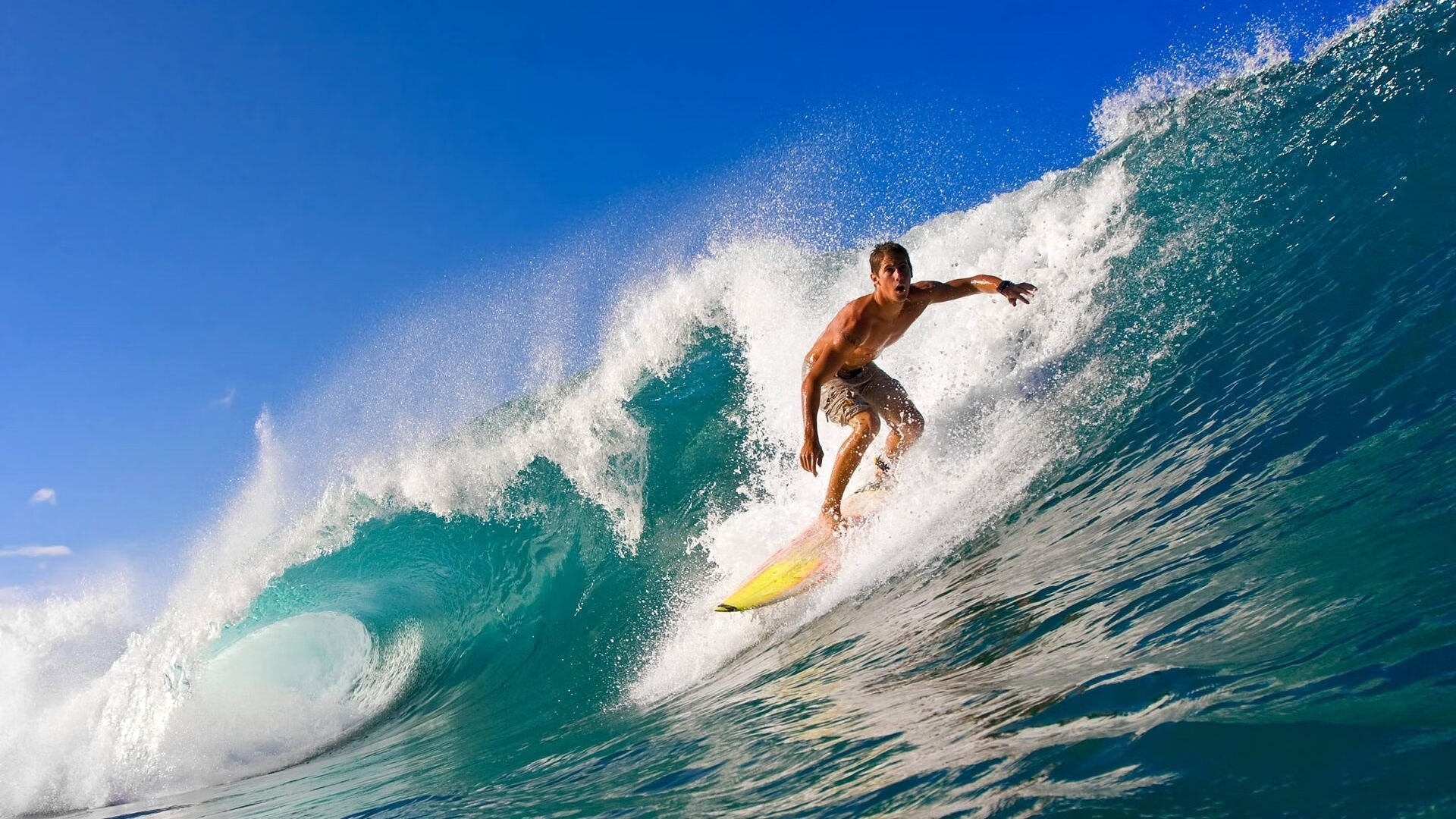 当整个世界成为他的证人，年度焦点之夜，西亚卡姆的沉默与轰鸣